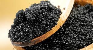 caspian sea beluga caviar