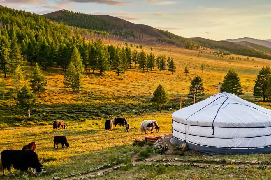 Reliable Mongolia Airport Transfer Service